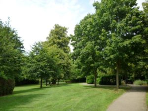 Music in Lydekker @ Lydekker Park | England | United Kingdom