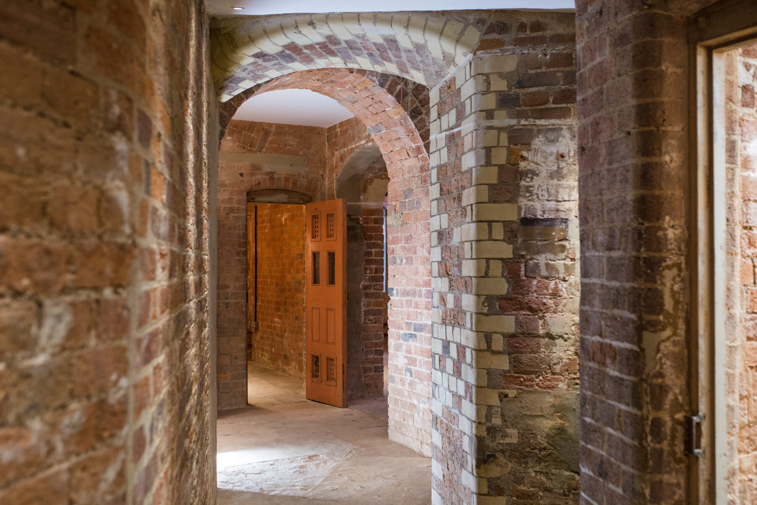 The Cells